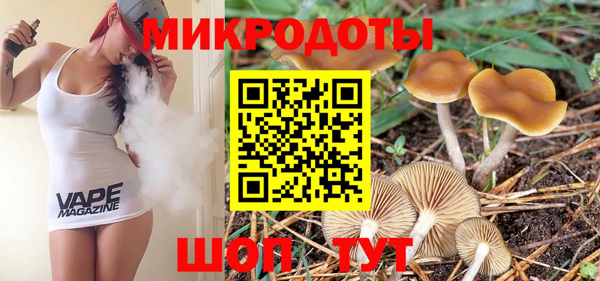 Псилоцибиновые грибы Psilocybine cubensis Сарапул